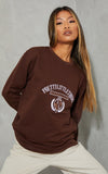 Exclusive Brown Embroidered Sweatshirt
