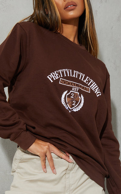 Exclusive Brown Embroidered Sweatshirt