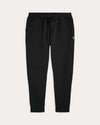 Polo Palph Double Knit Regular Fit Joggers